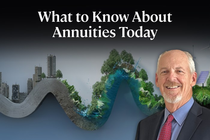 How life annuities work
